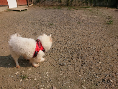 f:id:roukenhome-ann:20190731181056j:plain