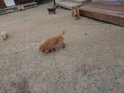 f:id:roukenhome-ann:20190731181115j:plain