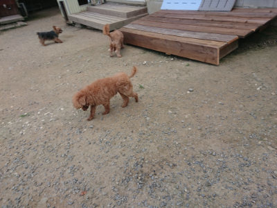 f:id:roukenhome-ann:20190731181142j:plain