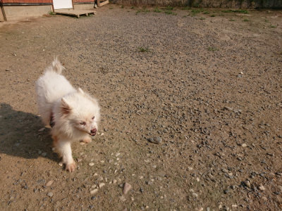 f:id:roukenhome-ann:20190731181156j:plain