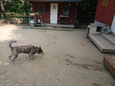 f:id:roukenhome-ann:20190731181222j:plain