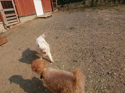 f:id:roukenhome-ann:20190731181243j:plain