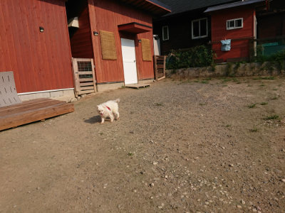 f:id:roukenhome-ann:20190731181258j:plain