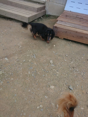 f:id:roukenhome-ann:20190731181342j:plain