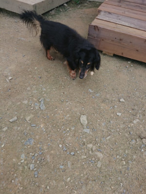 f:id:roukenhome-ann:20190731181359j:plain