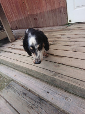 f:id:roukenhome-ann:20190731181405j:plain