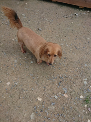 f:id:roukenhome-ann:20190731181427j:plain