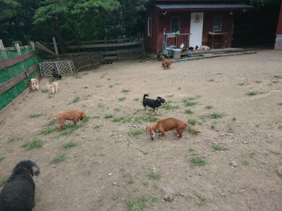 f:id:roukenhome-ann:20190731181511j:plain