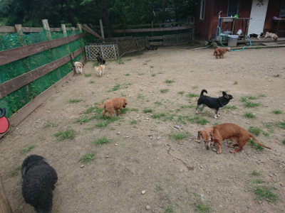 f:id:roukenhome-ann:20190731181517j:plain