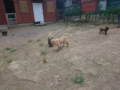 f:id:roukenhome-ann:20190731181522j:plain