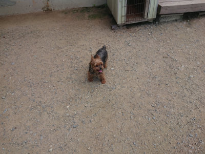 f:id:roukenhome-ann:20190731181542j:plain