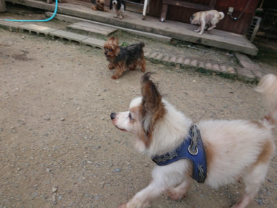 f:id:roukenhome-ann:20190731181615j:plain