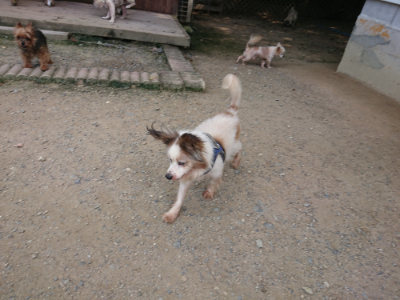 f:id:roukenhome-ann:20190731181654j:plain