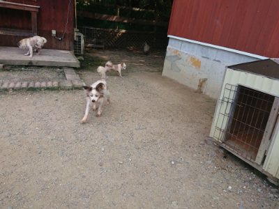 f:id:roukenhome-ann:20190731181732j:plain