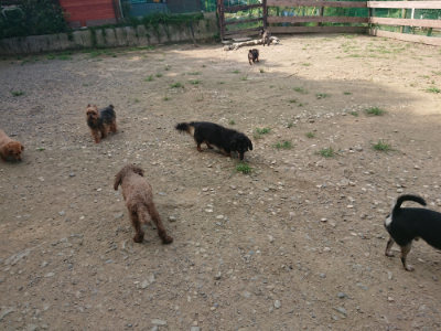 f:id:roukenhome-ann:20190731182806j:plain