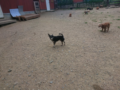f:id:roukenhome-ann:20190731182814j:plain