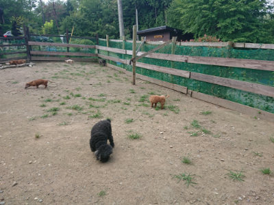 f:id:roukenhome-ann:20190731182850j:plain