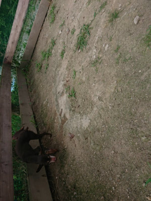f:id:roukenhome-ann:20190731182900j:plain