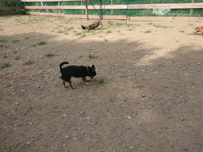 f:id:roukenhome-ann:20190731182945j:plain