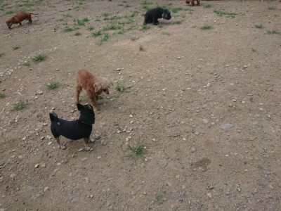 f:id:roukenhome-ann:20190731183013j:plain