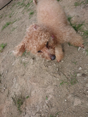 f:id:roukenhome-ann:20190731183019j:plain