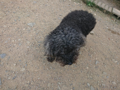 f:id:roukenhome-ann:20190731183155j:plain