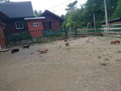 f:id:roukenhome-ann:20190731183209j:plain
