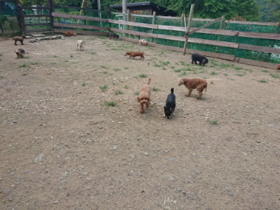 f:id:roukenhome-ann:20190731183218j:plain