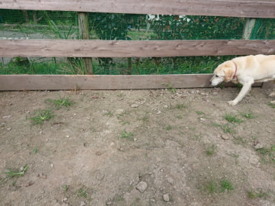 f:id:roukenhome-ann:20190731183603j:plain