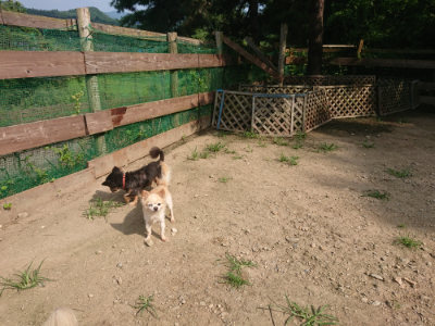 f:id:roukenhome-ann:20190731183705j:plain