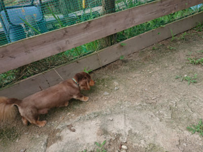 f:id:roukenhome-ann:20190731183938j:plain