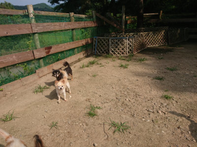 f:id:roukenhome-ann:20190731184012j:plain