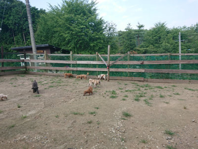 f:id:roukenhome-ann:20190731184116j:plain