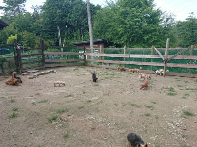 f:id:roukenhome-ann:20190731184342j:plain