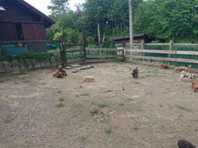 f:id:roukenhome-ann:20190731184501j:plain