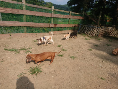 f:id:roukenhome-ann:20190731184548j:plain