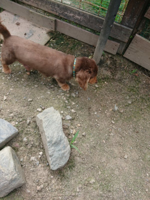 f:id:roukenhome-ann:20190731184607j:plain