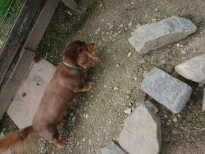 f:id:roukenhome-ann:20190731184636j:plain