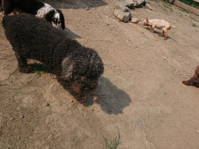 f:id:roukenhome-ann:20190801205903j:plain