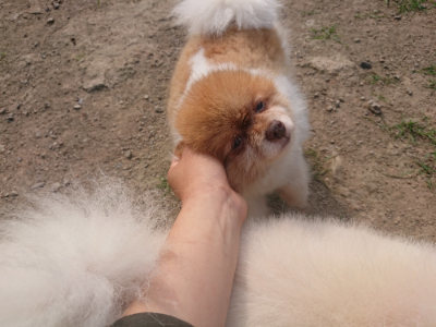 f:id:roukenhome-ann:20190801205928j:plain