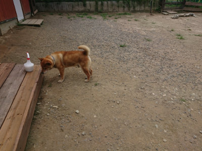 f:id:roukenhome-ann:20190801205941j:plain