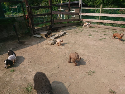 f:id:roukenhome-ann:20190801210124j:plain