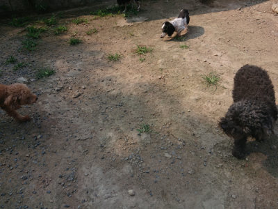 f:id:roukenhome-ann:20190801210206j:plain