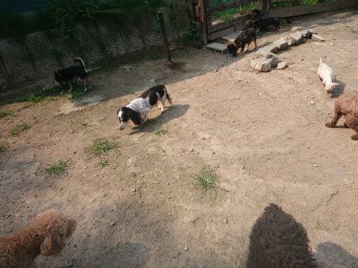 f:id:roukenhome-ann:20190801210214j:plain