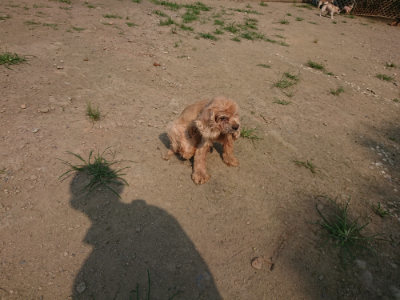 f:id:roukenhome-ann:20190801210246j:plain
