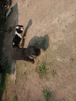 f:id:roukenhome-ann:20190801210323j:plain