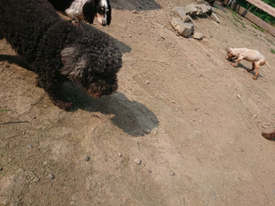 f:id:roukenhome-ann:20190801210348j:plain