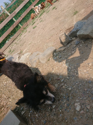 f:id:roukenhome-ann:20190801210454j:plain