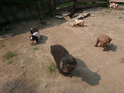 f:id:roukenhome-ann:20190801210530j:plain