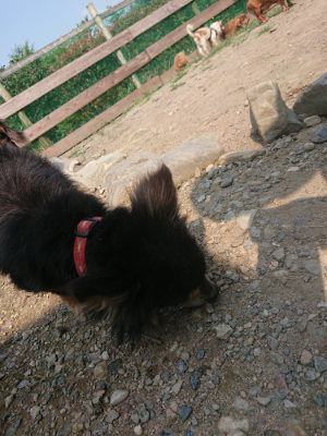 f:id:roukenhome-ann:20190801210610j:plain